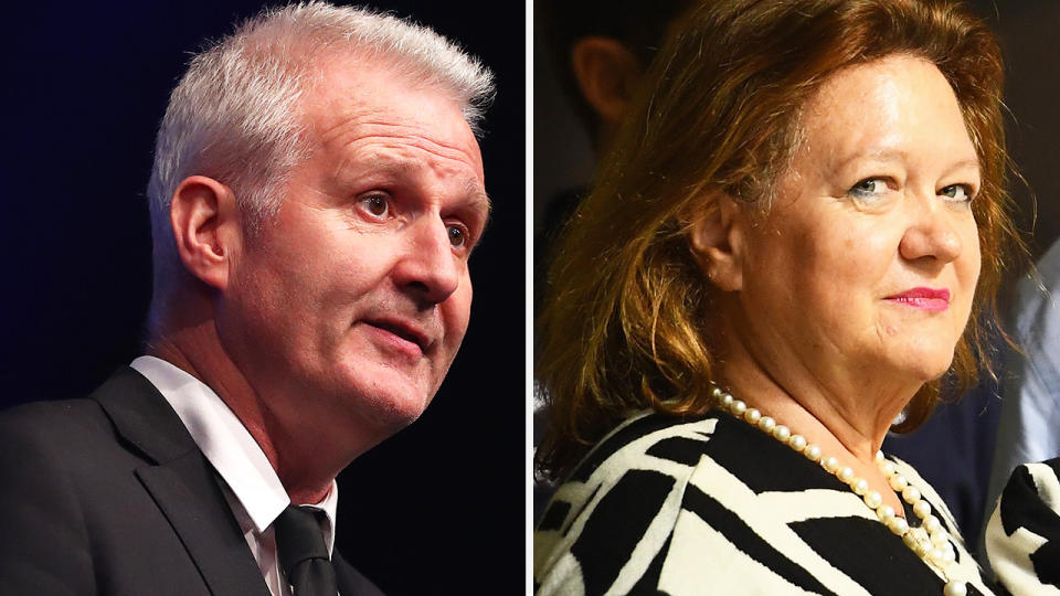 Andrew Gaze and Gina Rinehart are pictured side by side.