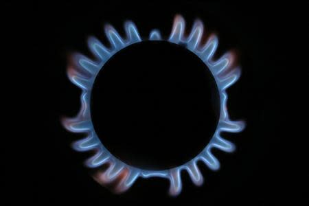 A gas hob is seen in this photo illustration taken in London December 2, 2013. REUTERS/Stefan Wermuth
