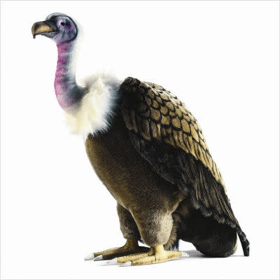 Life-Size Vulture