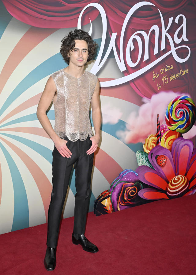 See Timothée Chalamet's Red Carpet Outfit at 'Wonka' L.A. Premiere: Photo