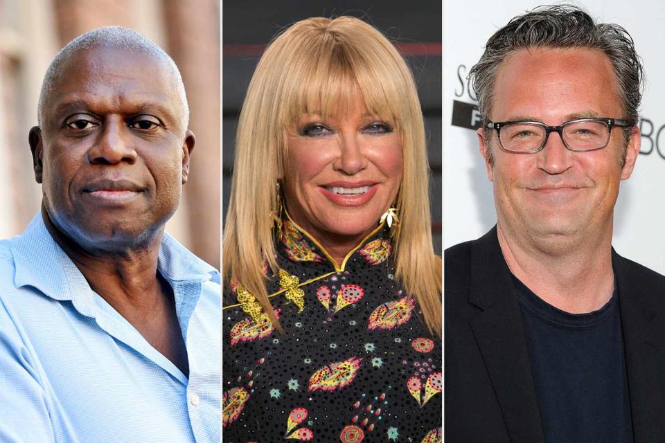 <p>Chris Pizzello/Invision/AP; ADRIAN SANCHEZ-GONZALEZ/AFP via Getty; Angela Weiss/Getty</p> Andrew Braugher, Suzanne Somers and Matthew Perry were among the TV celebrities who have died over the last year.