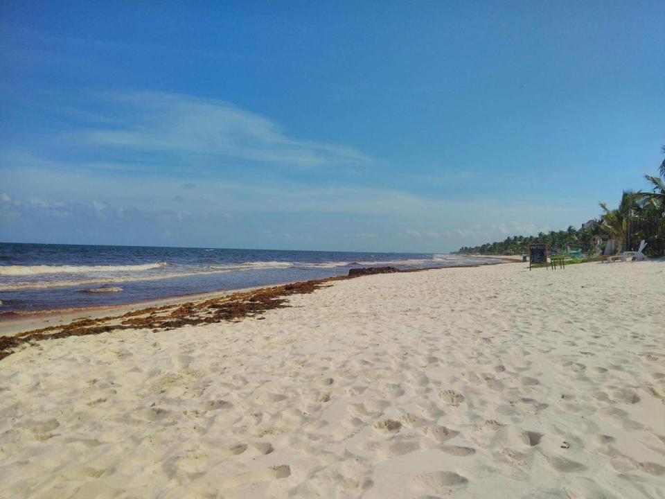 Tulum beach, loved by New Yorkers and Californians – but not backpackers (Liz Dodd)