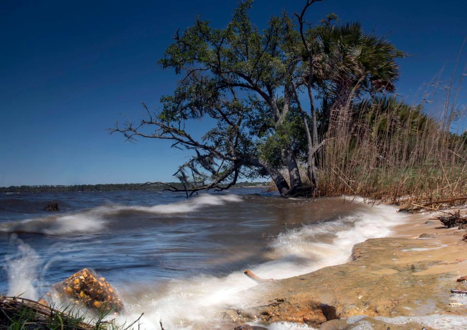 Pensacola & Perdido Bays Estuary Program is getting a rare designation from the U.S. government that is opening millions of dollars in federal funding opportunities.