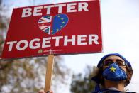 FILE PHOTO: An anti-Brexit protester holds a sign as she demonstrates near the conference centre where Brexit trade negotiations are taking place, in Westminster, London