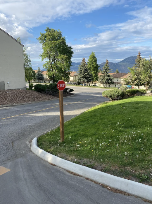 a small stop sign on a large piece of wood