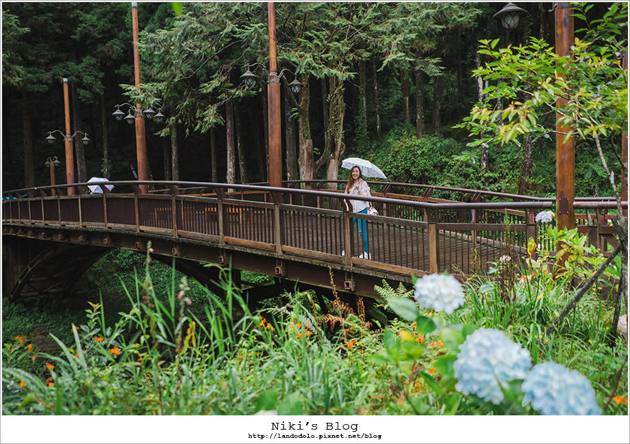 阿里山輕旅行