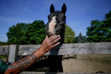 Scott Coyle, an inmate at the State of New York Wallkill Correctional Facility, pets a retired thoroughbred on a prison farm in Wallkill, New York June 16, 2014.REUTERS/Shannon Stapleton