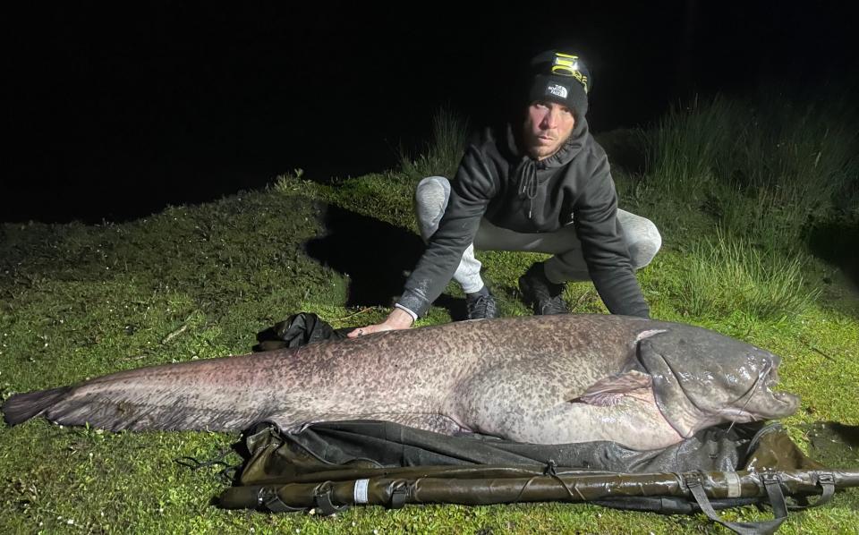 Darren Reitz, 34, landed the huge catfish at Chigborough Lakes nature reserve in Maldon, Essex