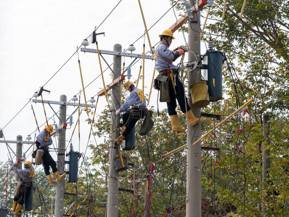 台電招考1,078名僱用人員，其中配電線路維護類403名為員額最多的類別。圖／台電提供