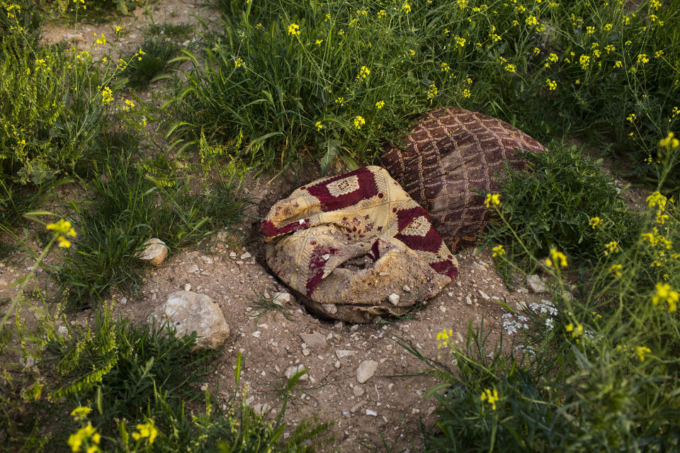 Legacy: Death among the flowers – The mass graves in Sinjar