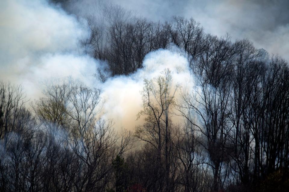 The Cold Springs Hollow Road fire in Seymour, Tenn. on Sunday, April 3, 2022  is at 664 acres and 60% contained according to said Bruce Miller, spokesperson for Tennessee Division of Forestry.