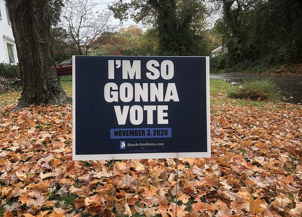 A yard sign that reads, "I'm so gonna vote," expresses voter enthusiasm without mentioning a candidate.