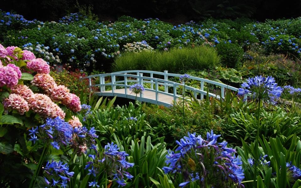 Trebah gardens, Cornwall