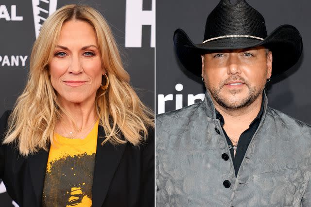 <p>Theo Wargo/Getty Images; Jason Kempin/Getty Images</p> Sheryl Crow and Jason Aldean