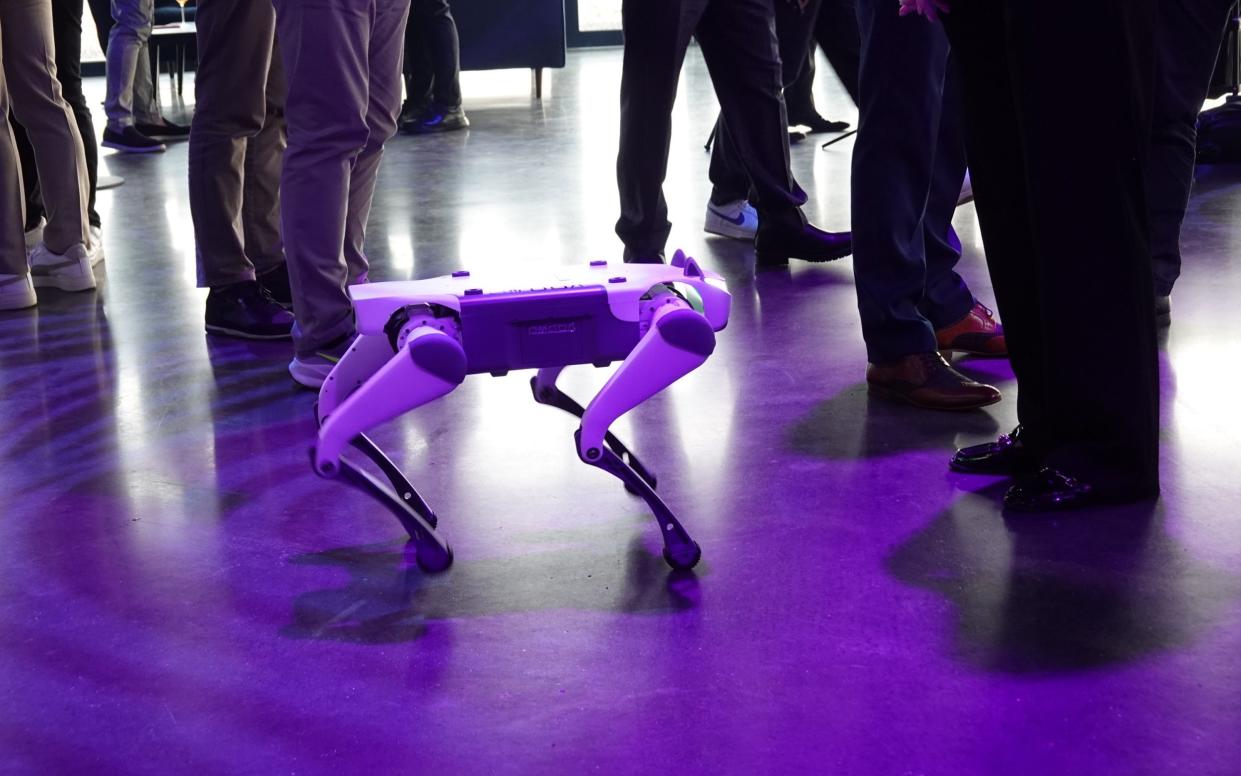 robot dog