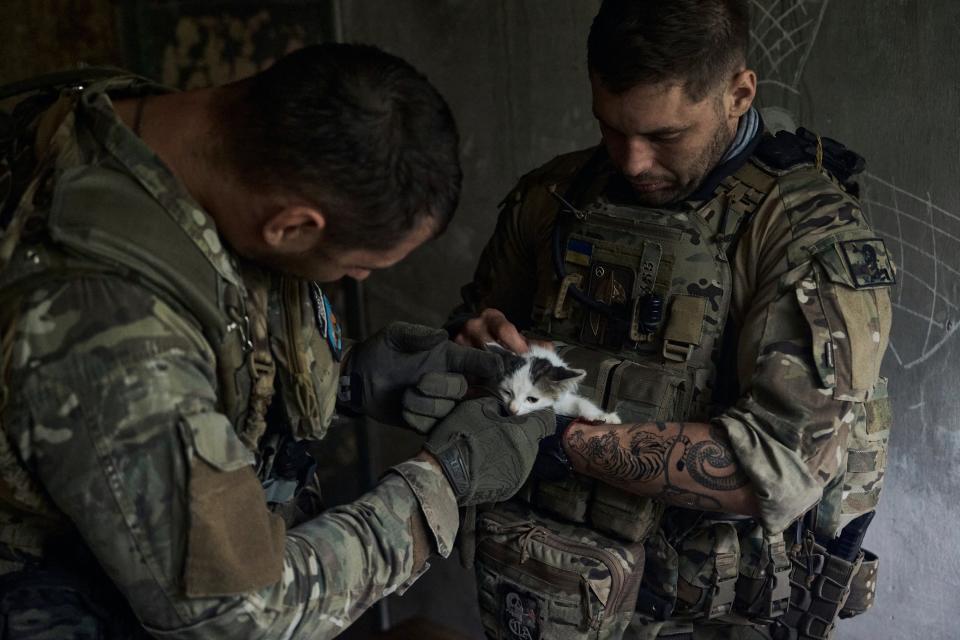 Ukrainian soldiers pet a kitten in a shelter under the Russian shelling on the frontline in the Zaporizhzhia region, Ukraine (AP)