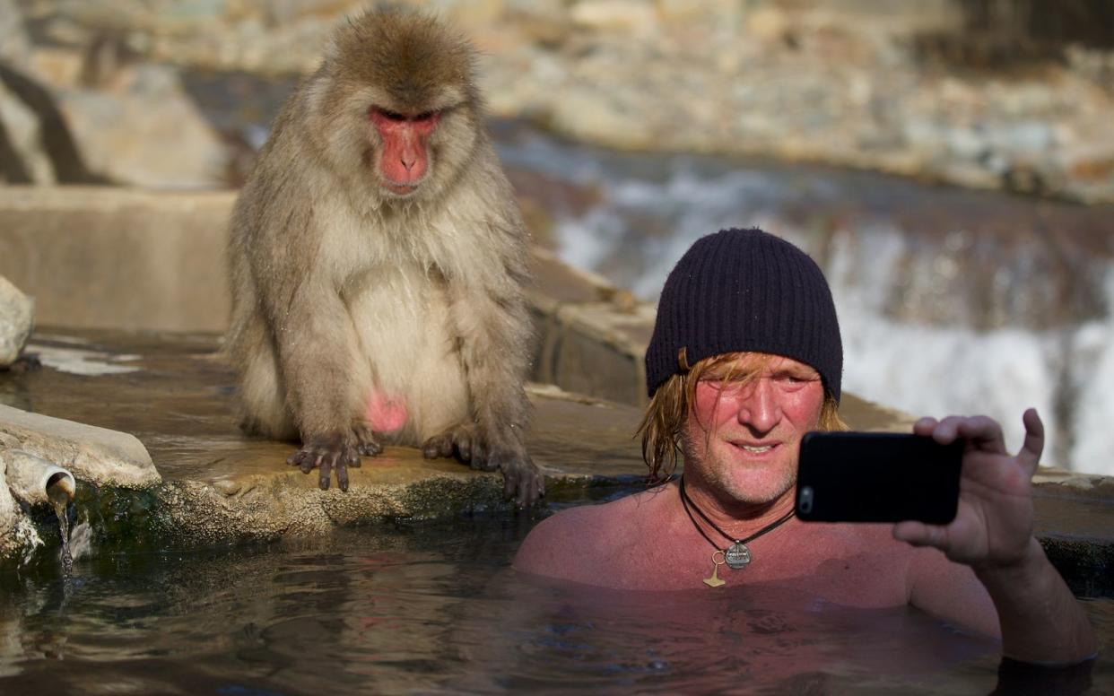 "Wir haben den Zugang zur Natur total verloren": Tierfilmer Andreas Kieling will mit seinem Engagement aufklären und wachrütteln. (Bild: ZDF / Frank Gutsche)