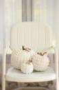<p>These refined decorations in pure white add a touch of chic to any porch.</p><p><strong>Get the tutorial at <a href="http://erin-artandgardens.blogspot.com/2011/10/white-chenille-punkins.html" rel="nofollow noopener" target="_blank" data-ylk="slk:Erin's Art and Gardens;elm:context_link;itc:0;sec:content-canvas" class="link ">Erin's Art and Gardens</a>.</strong> </p>