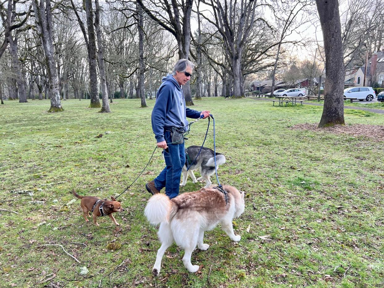 Allen Sawdey walks his dogs Natasha, Nikolai and Jackson at Bush's Pasture Park on Friday morning, the day after a shooting took place in the park.
