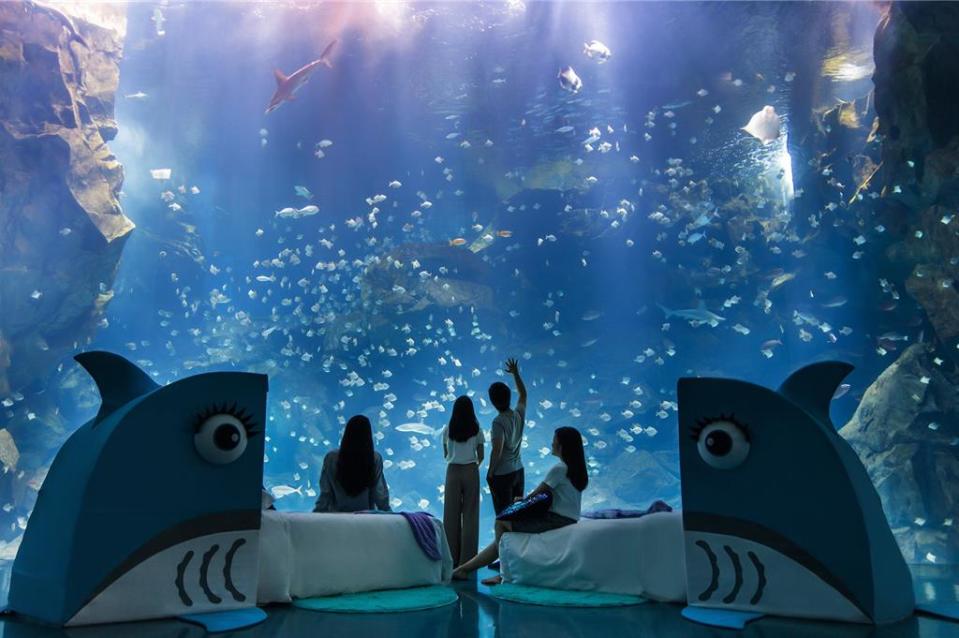 COZZI Blu和逸飯店．桃園館Blu Night星級海洋眠旅，主打故事型五感沉浸式水族冒險，以多元內容打造寓教於樂的旅遊體驗。圖／COZZI Blu和逸飯店．桃園館提供
