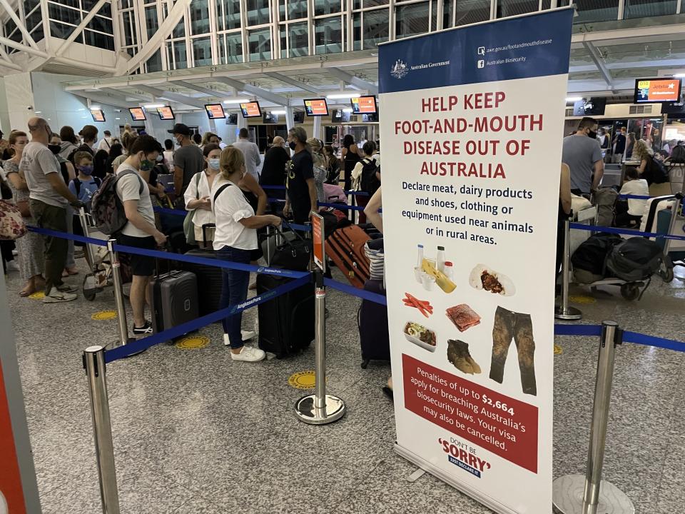 Australia has ramped up biosecurity measures after Indonesia detected foot and mouth disease. Source: 