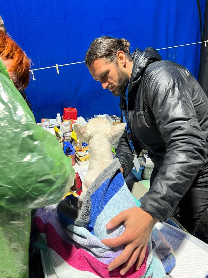 San Diego veterinarian Dr. Andrew Kushnir examines a small dog in the veterinary tent at the Ukraine border crossing at Medyka, Poland. (Courtesy of the San Diego Humane Society )