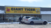 Giant Tiger and other discounters in expansion mode