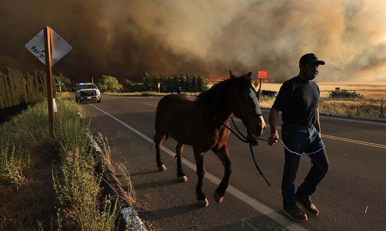 <span>A resident evacuates his horse as the Corral fire bears down on ranches west of Tracy, California, last week.</span><span>Photograph: Kent Porter/AP</span>