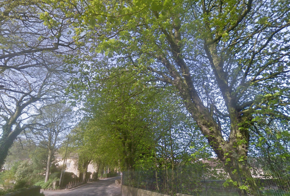 The incident happened in the Yorkshire village of High Melton (Picture: Google)