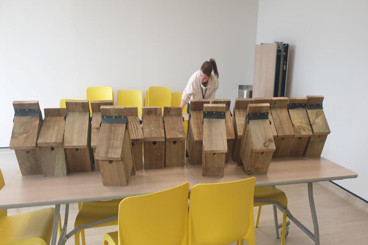 The Repair Café at Lambs Lane Primary School benefits from donation of wood <i>(Image: Dandara)</i>