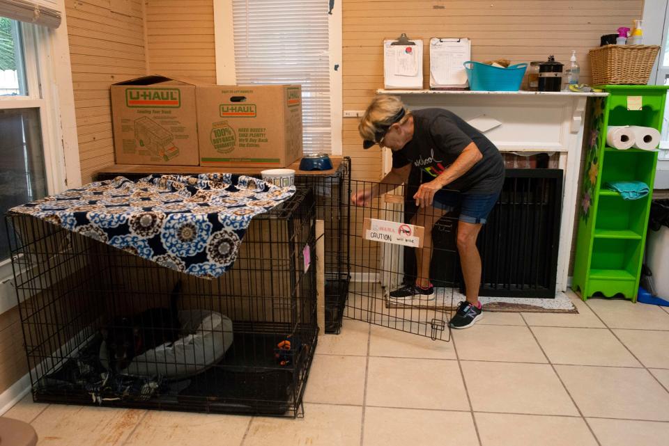 Volunteer Vicki Dunlap takes a dog out of his kennel for exercise on Tuesday at the Hotel for Dogs and Cats in Pensacola. The shelter is looking for a new location due to deteriorating conditions at its current building on Creighton Road.