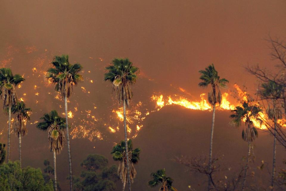 A wildfire burns in the hills just north of the San Gabriel Valley community of Glendora, Calif. on Thursday, Jan 16, 2014. Southern California authorities have ordered the evacuation of homes at the edge of a fast-moving wildfire burning in the dangerously dry foothills of the San Gabriel Mountains. (AP Photo/Nick Ut)