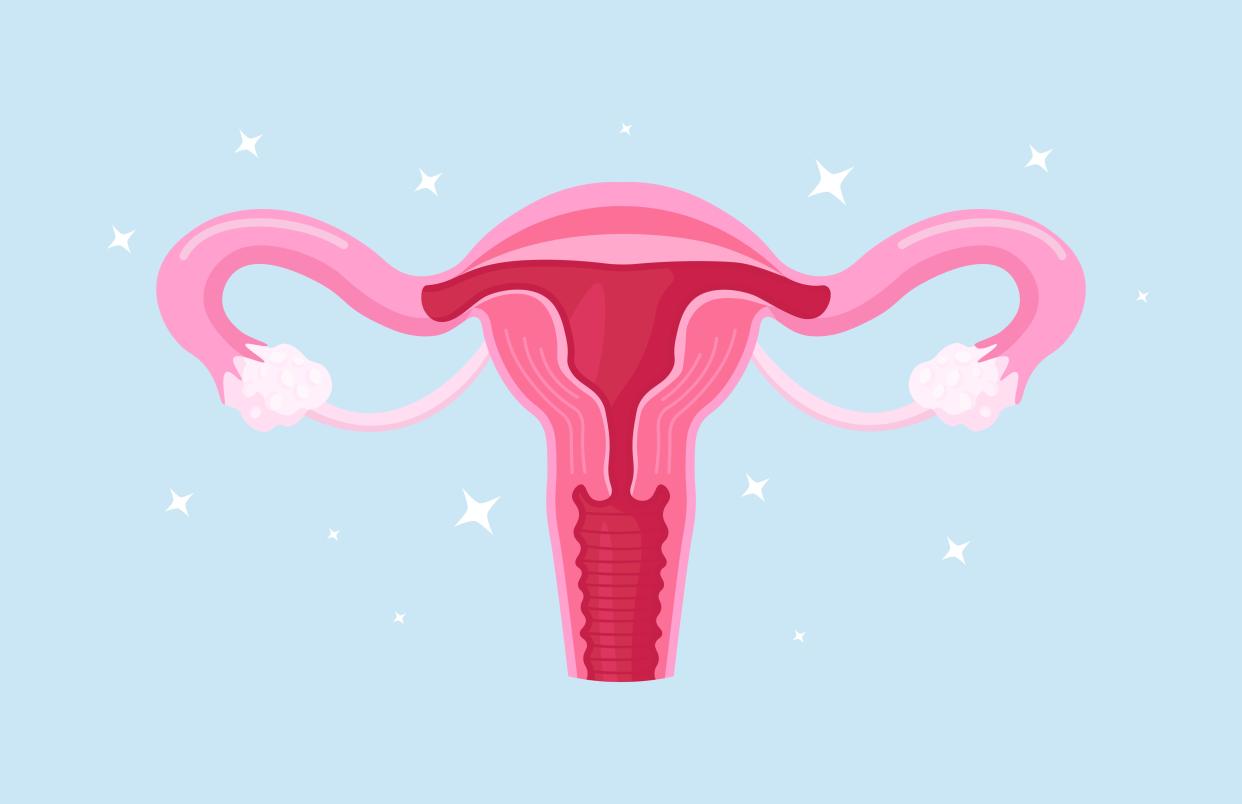 An illustration of the female reproductive system. 