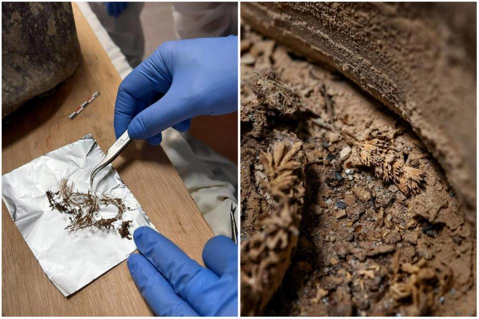 Izquierda: Cabello del ataúd conocido. Derecha: Flores del ataúd desconocido. Fotos del Instituto Nacional de Investigación Arqueológica Preventiva de Francia (INRAP)