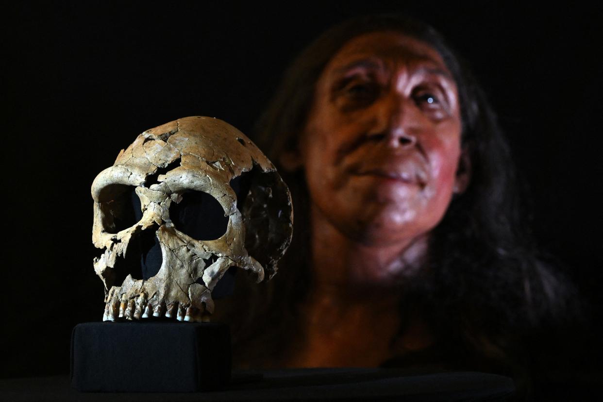 Pictured is the rebuilt skull and physical reconstruction of the face and head of a 75,000-year-old Neanderthal woman named Shanidar Z.
