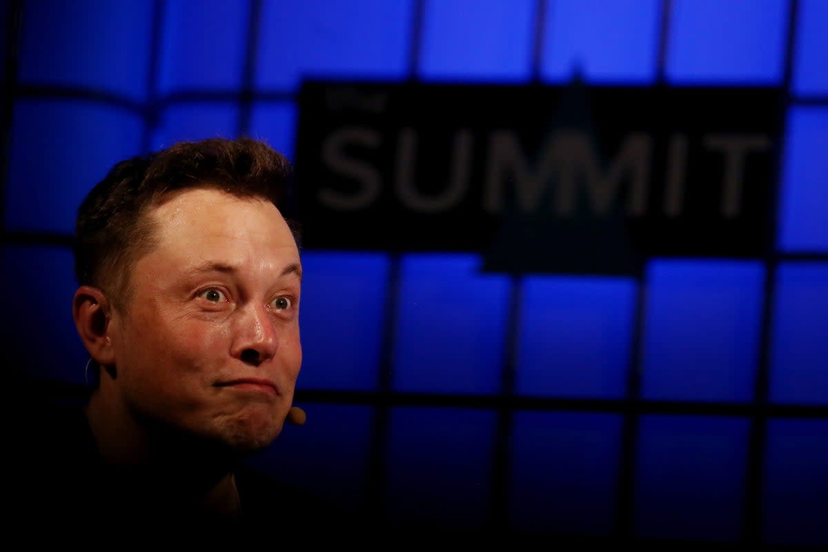 Elon Musk has written the letter with other industry leaders (Brian Lawless/PA) (PA Archive)