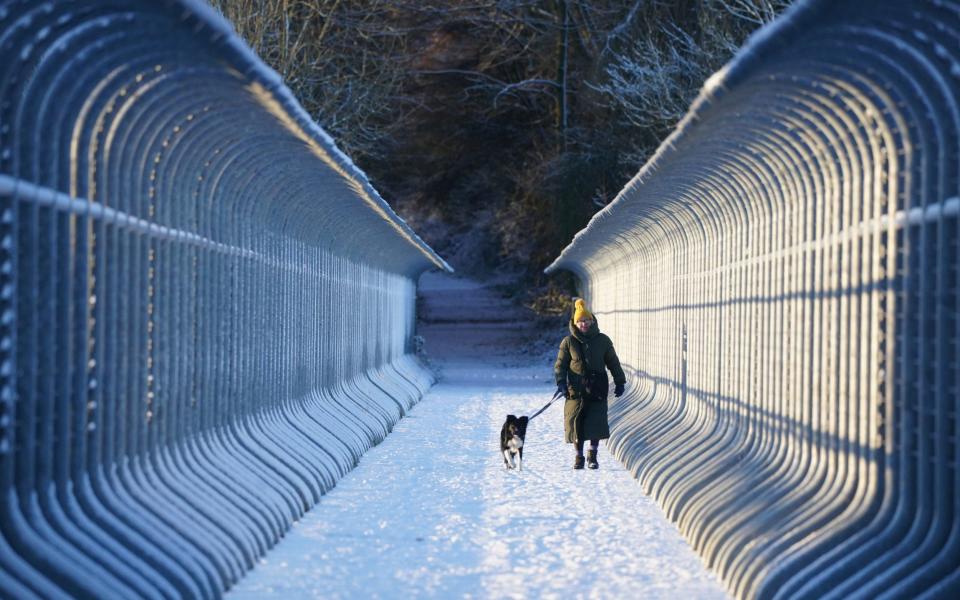 A woman walks her dog through snow over Castleside Viaduct in Durham - Owen Humphreys