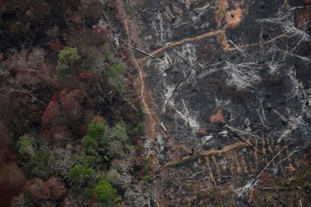 An aerial view of a deforested plot of the Amazon near Porto Velho