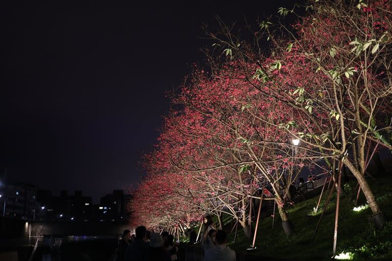 夜晚配合炫麗燈火觀賞更是浪漫。（圖／北市工務局提供）