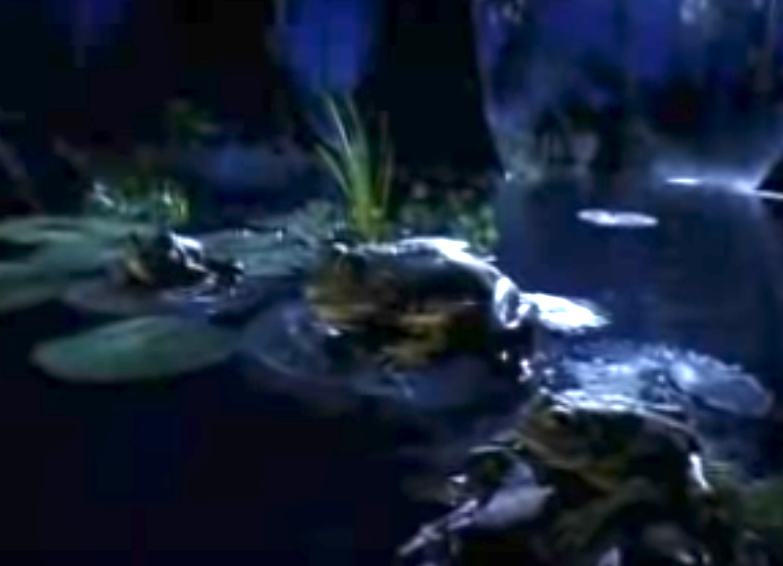 Scene from 1995 film "Jumanji" showing the enchanted board game on a lily pad