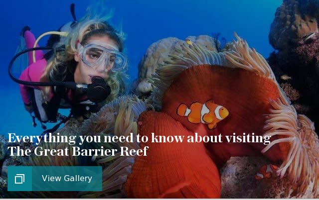 The Great Barrier Reef, Australia: Trip of a Lifetime