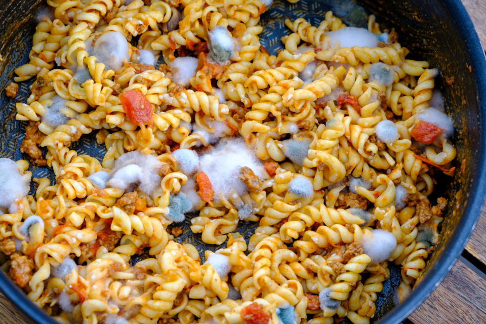 Moldy Pasta in Pan