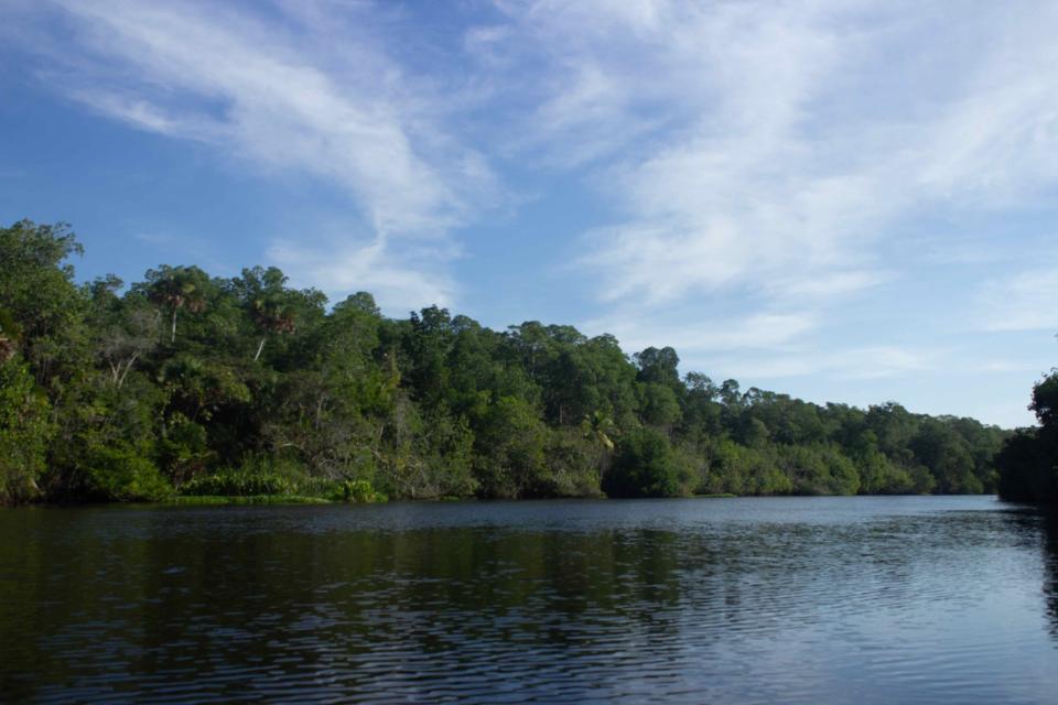 La Encrucijada-Chiapas