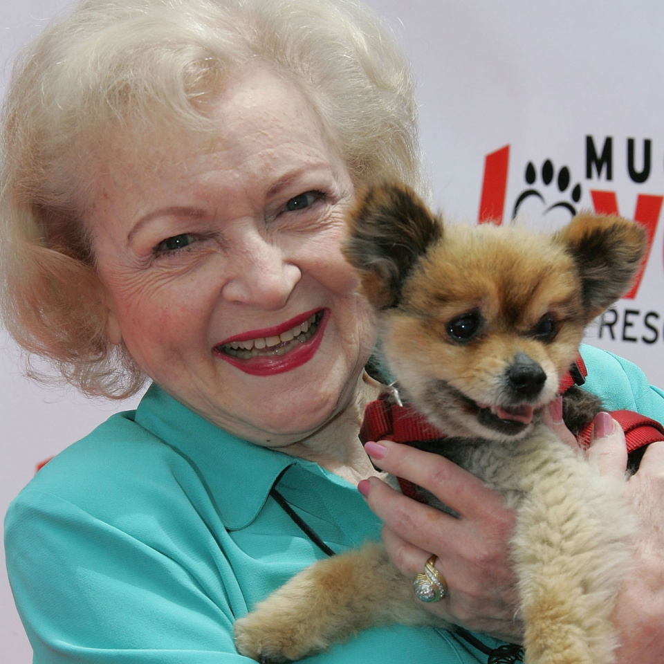 23 Pictures Of Betty White With Puppies To Brighten Your Day