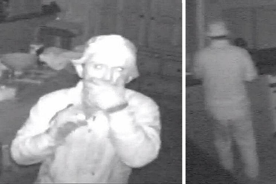 CCTV still issued by the Met Police of the prolific thief dubbed the Wimbledon Prowler (PA)