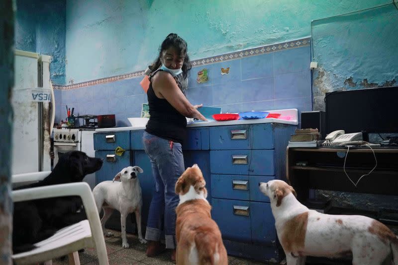 Cuba has approved a long called-for decree on animal welfare