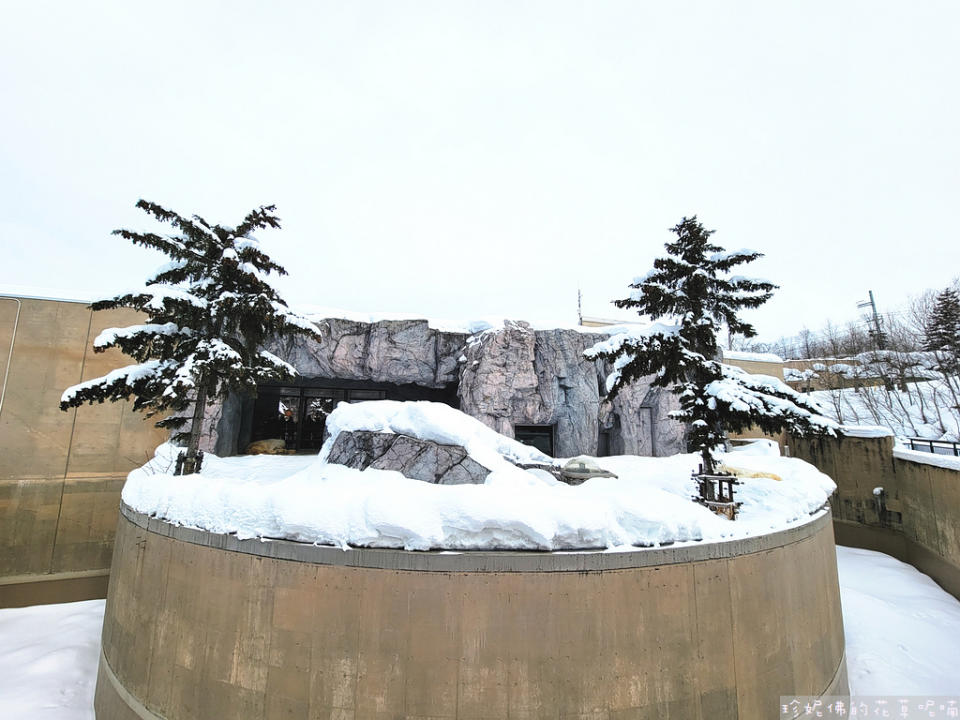 日本北海道｜旭川動物園、拉麵村、札幌大通公園、狸小路