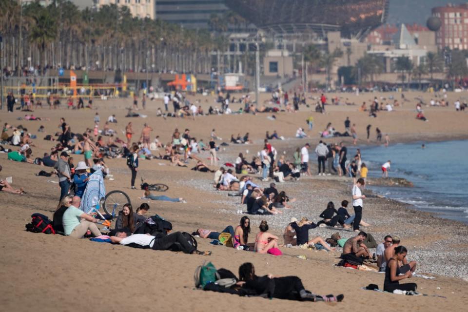 People sunbathe on San Sebastian beach in Barcelona in January (AFP via Getty Images)