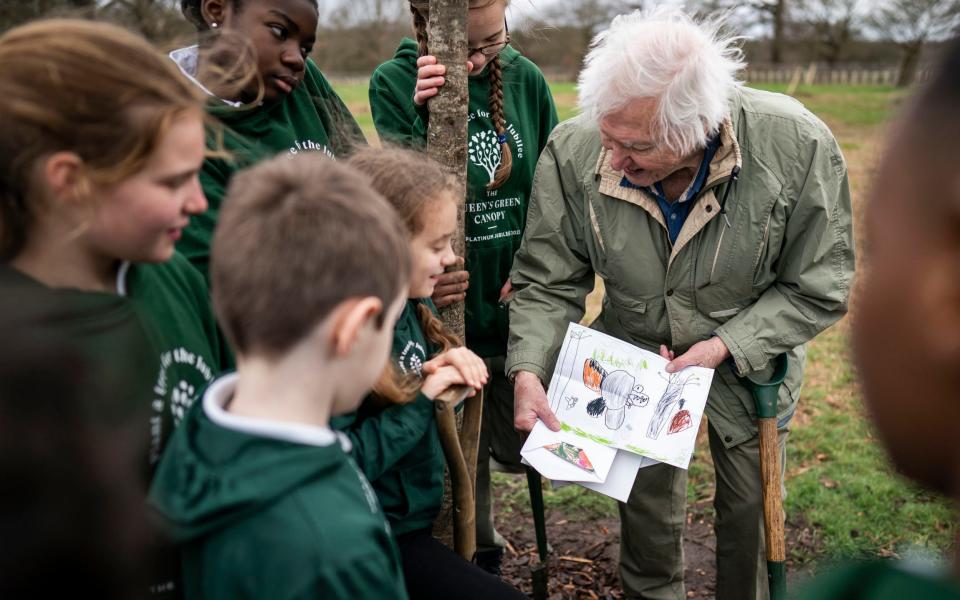 The broadcaster said the monarch was a 'great lover of trees' - Aaron Chown