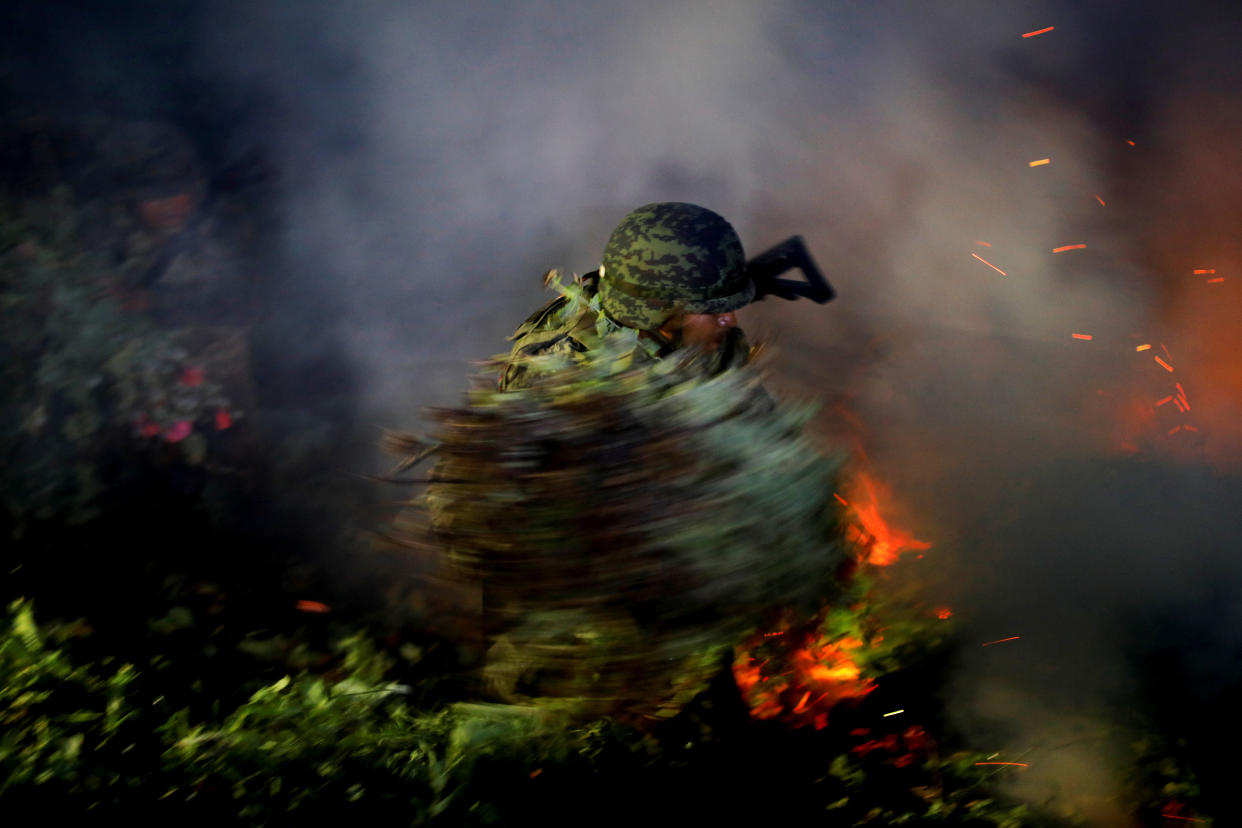 A soldier burns an illegal opium plantation in Mexico